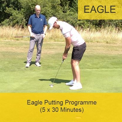 Picture of Eagle Putting Programme